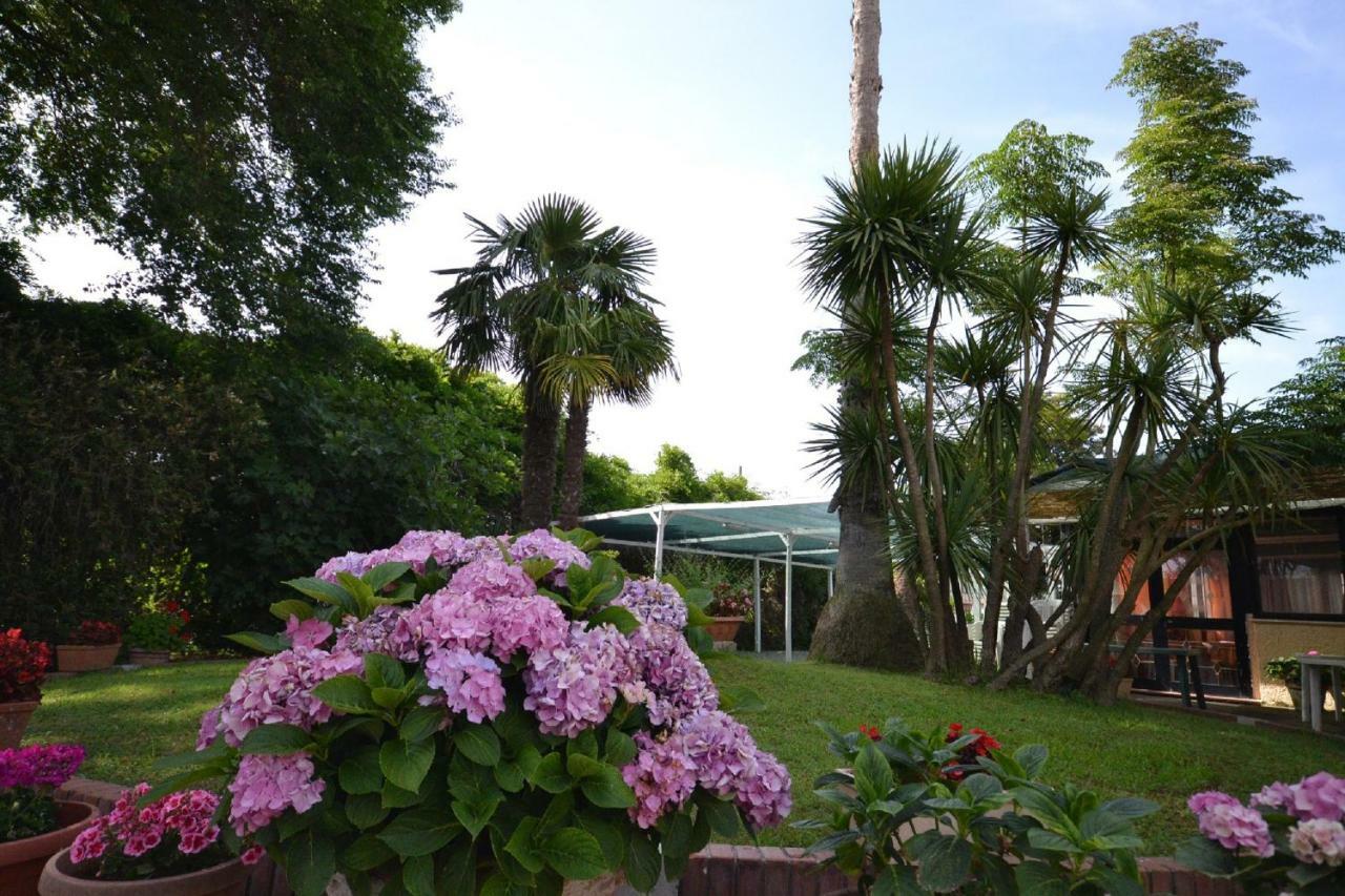 Il Piccolo Nido Bed and Breakfast Borgo Montenero Εξωτερικό φωτογραφία