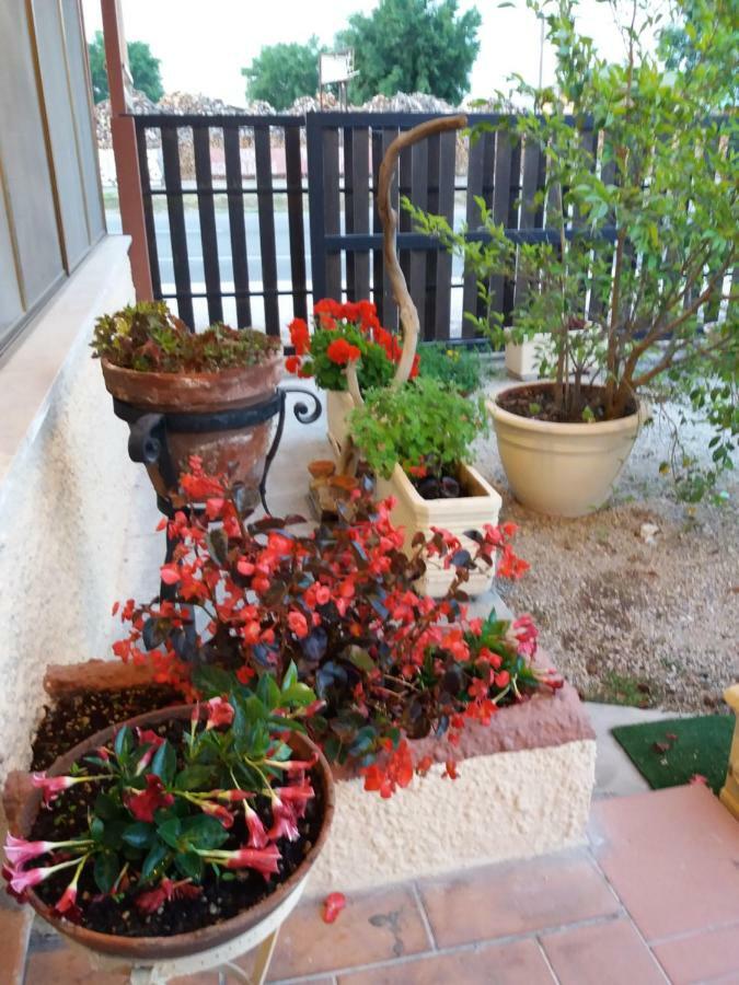 Il Piccolo Nido Bed and Breakfast Borgo Montenero Εξωτερικό φωτογραφία